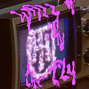 The Hickey Underworld — Wall on the Fly